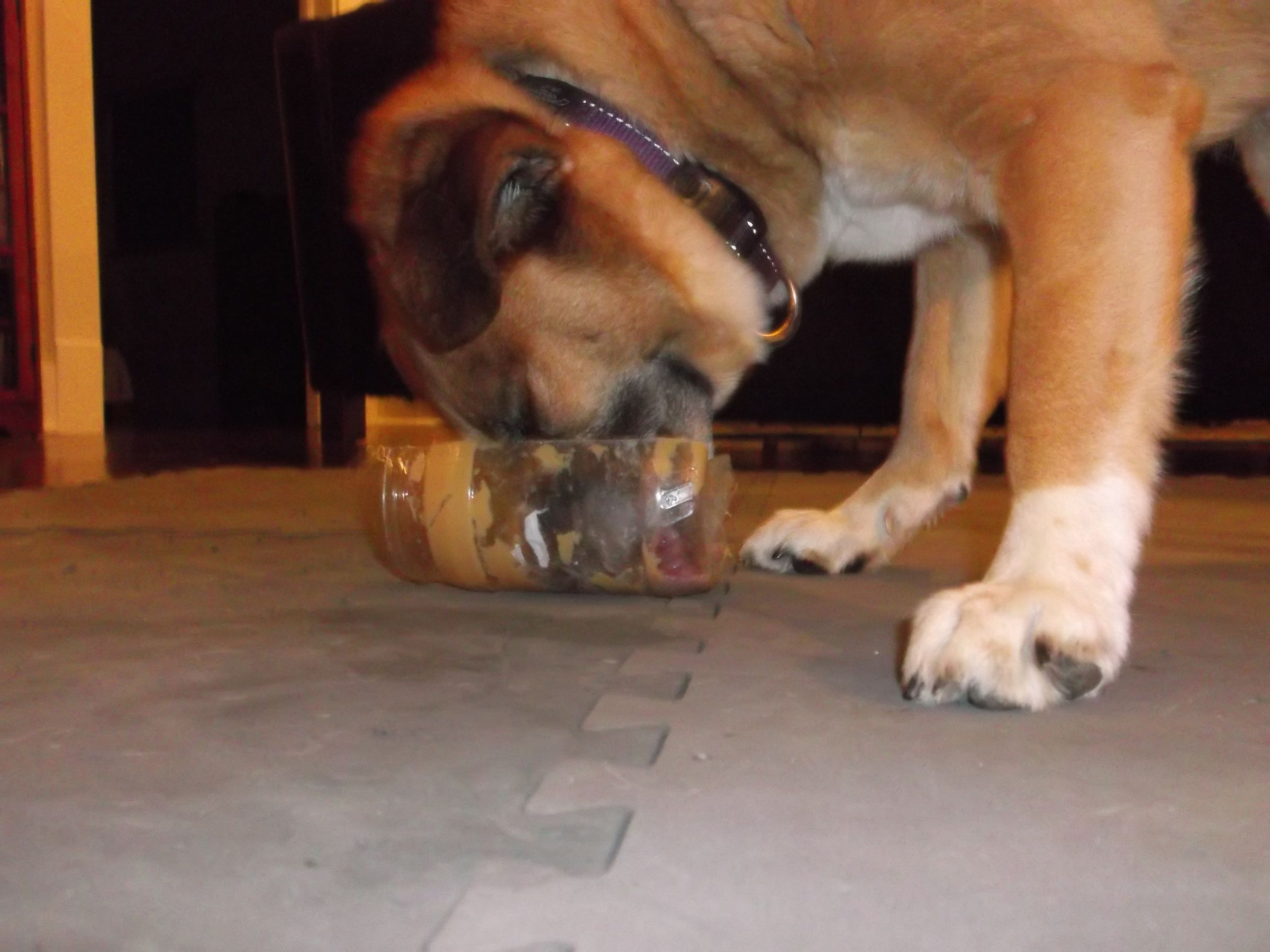 Clean Peanut Butter Jar for Recycling 7 Steps (with Pictures