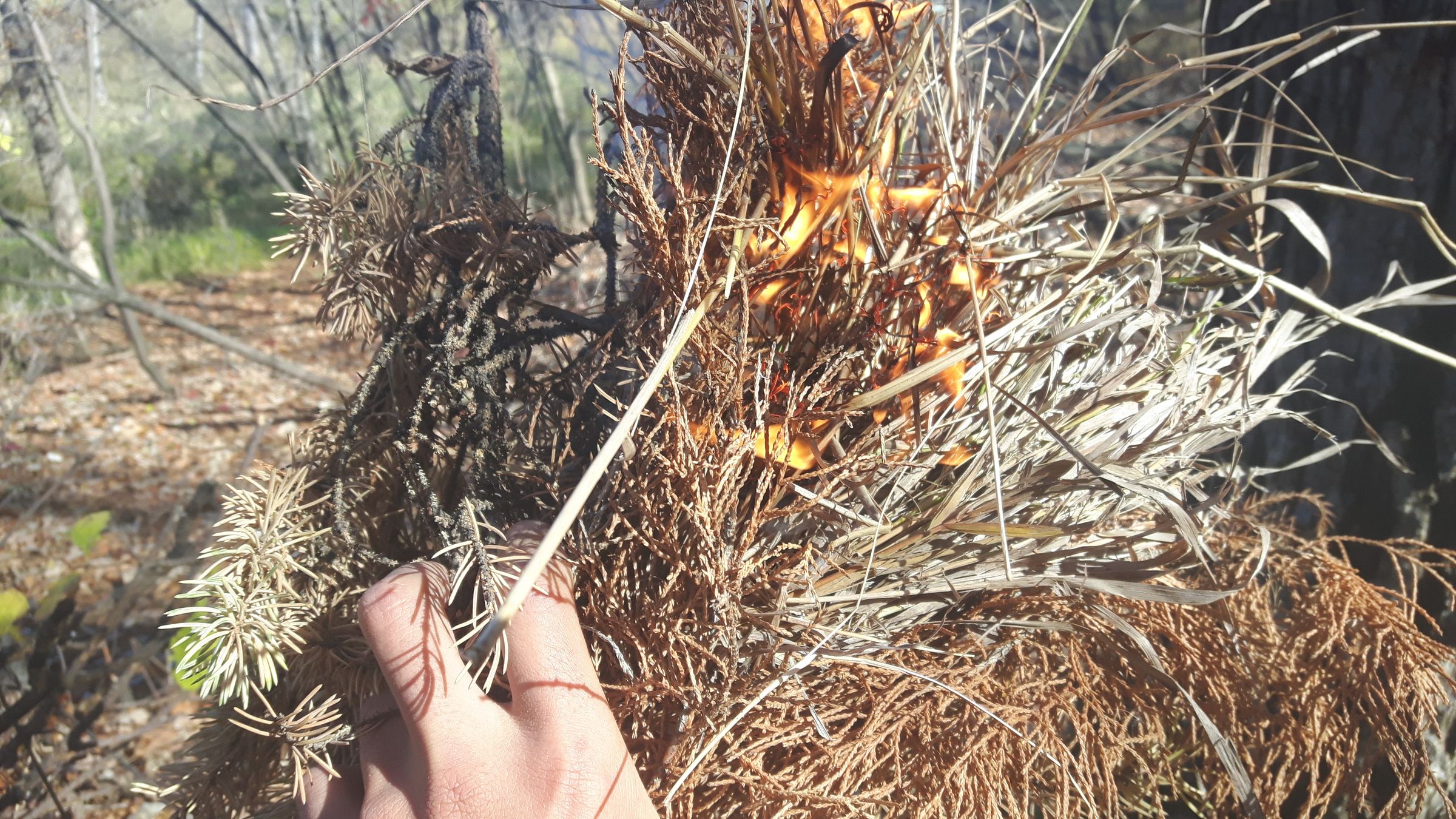 Start a Fire With a Magnifying Glass Using Natural Tinder 10 Steps