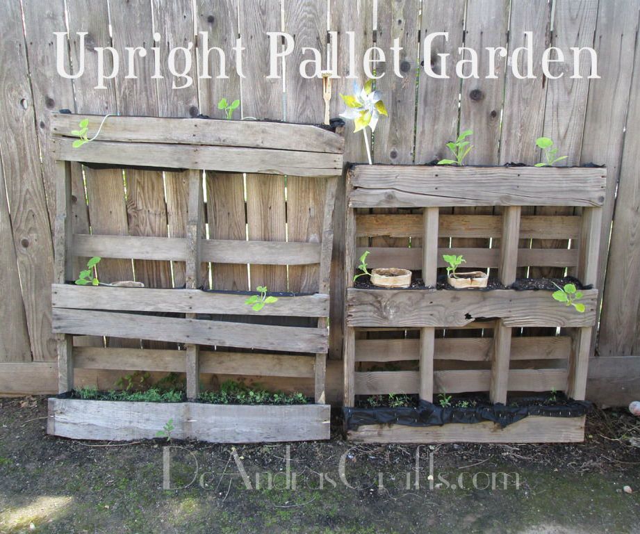 Upright Pallet (Container) Gardens