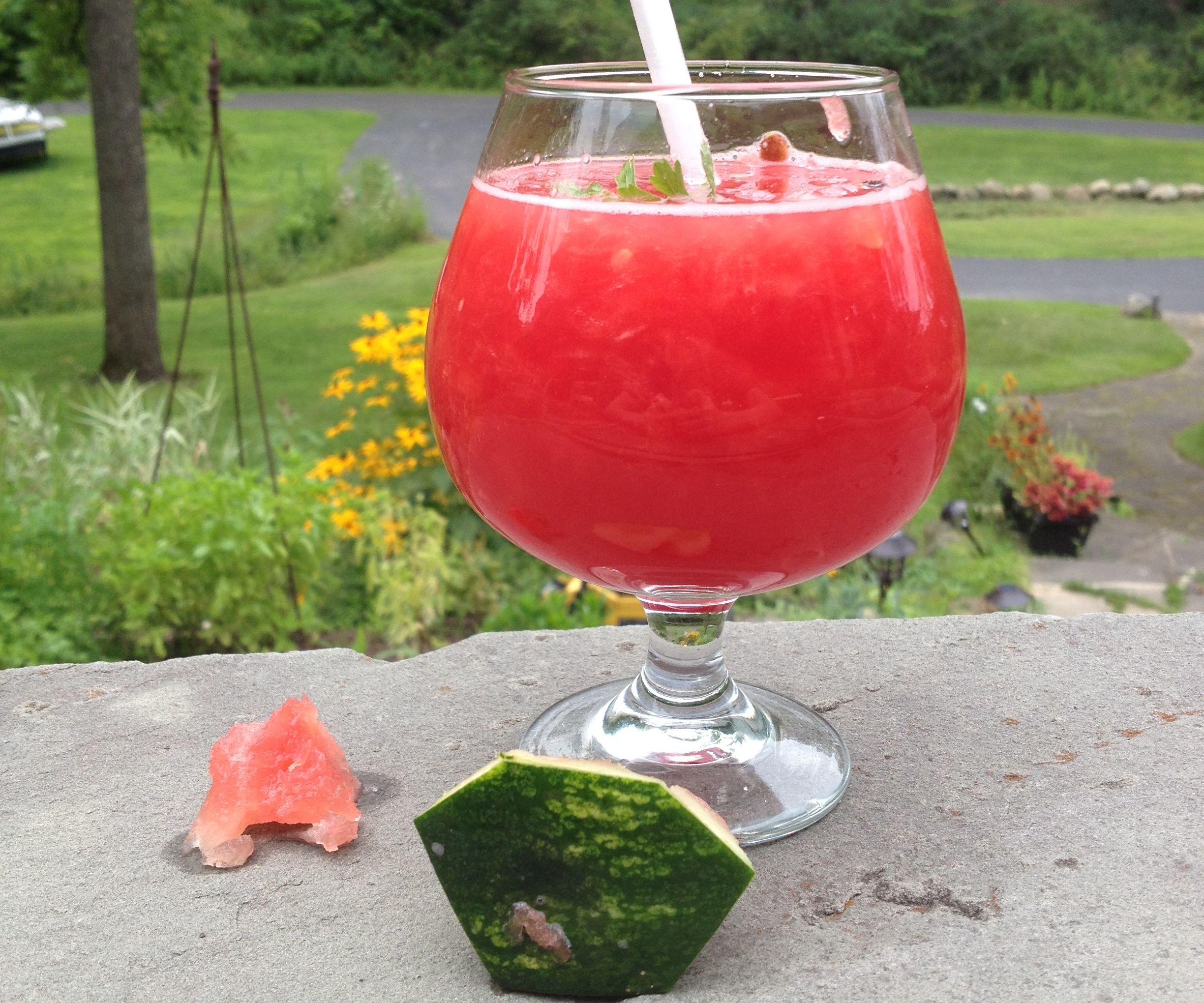 Fun Watermelon Smoothie