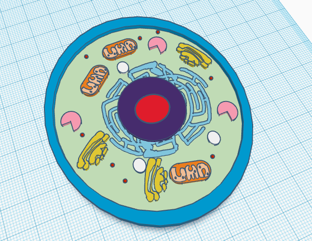 Cell 3d Model 3d Animal Cell Models