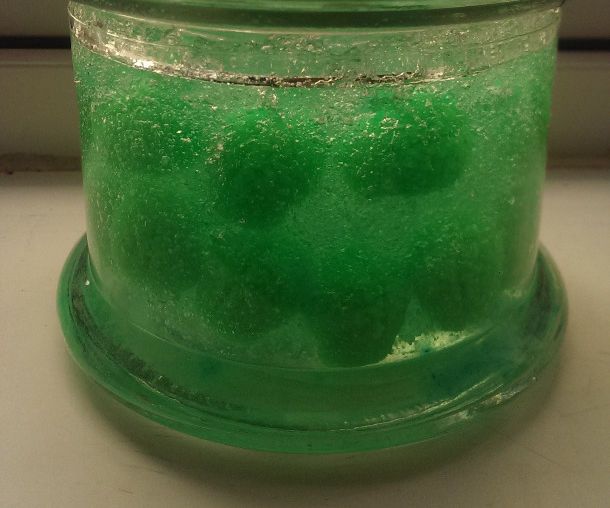 Brains in Jar: a Macabre and Beautifully Grotesque Theatrical Prop