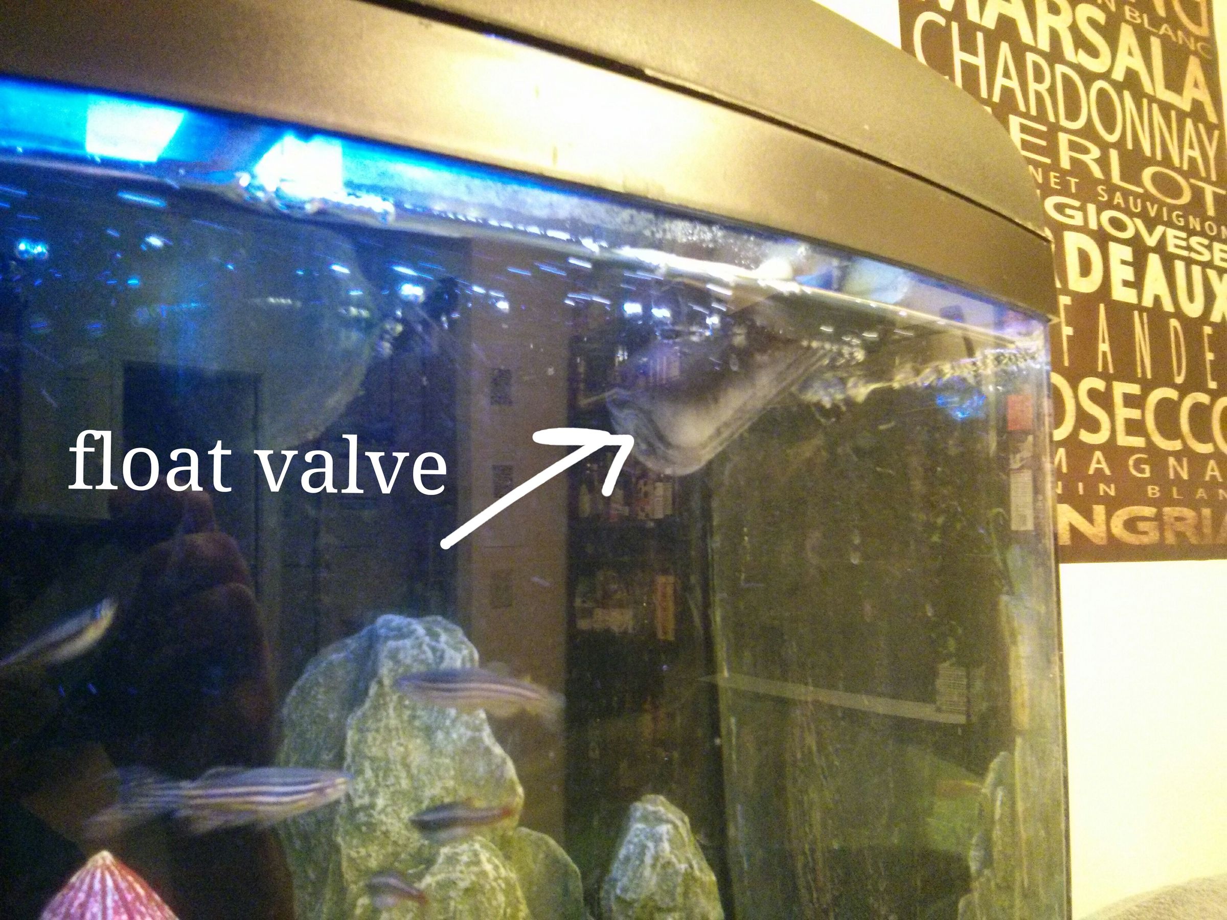 Easily Maintain Aquarium Water Level (version 1)