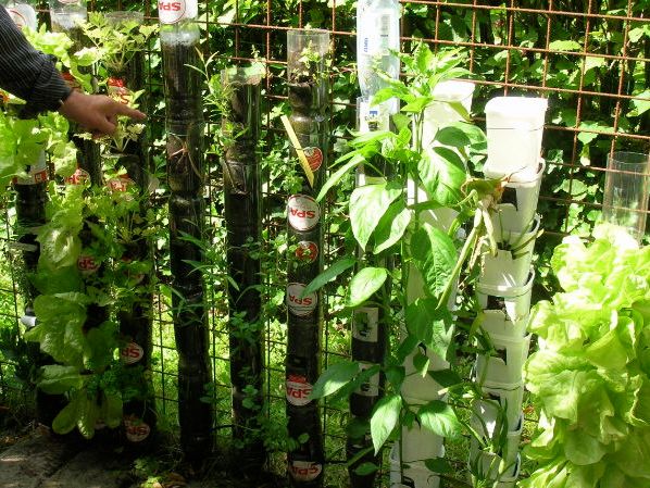 Hunger and Malnutrition : Use Bottle Towers