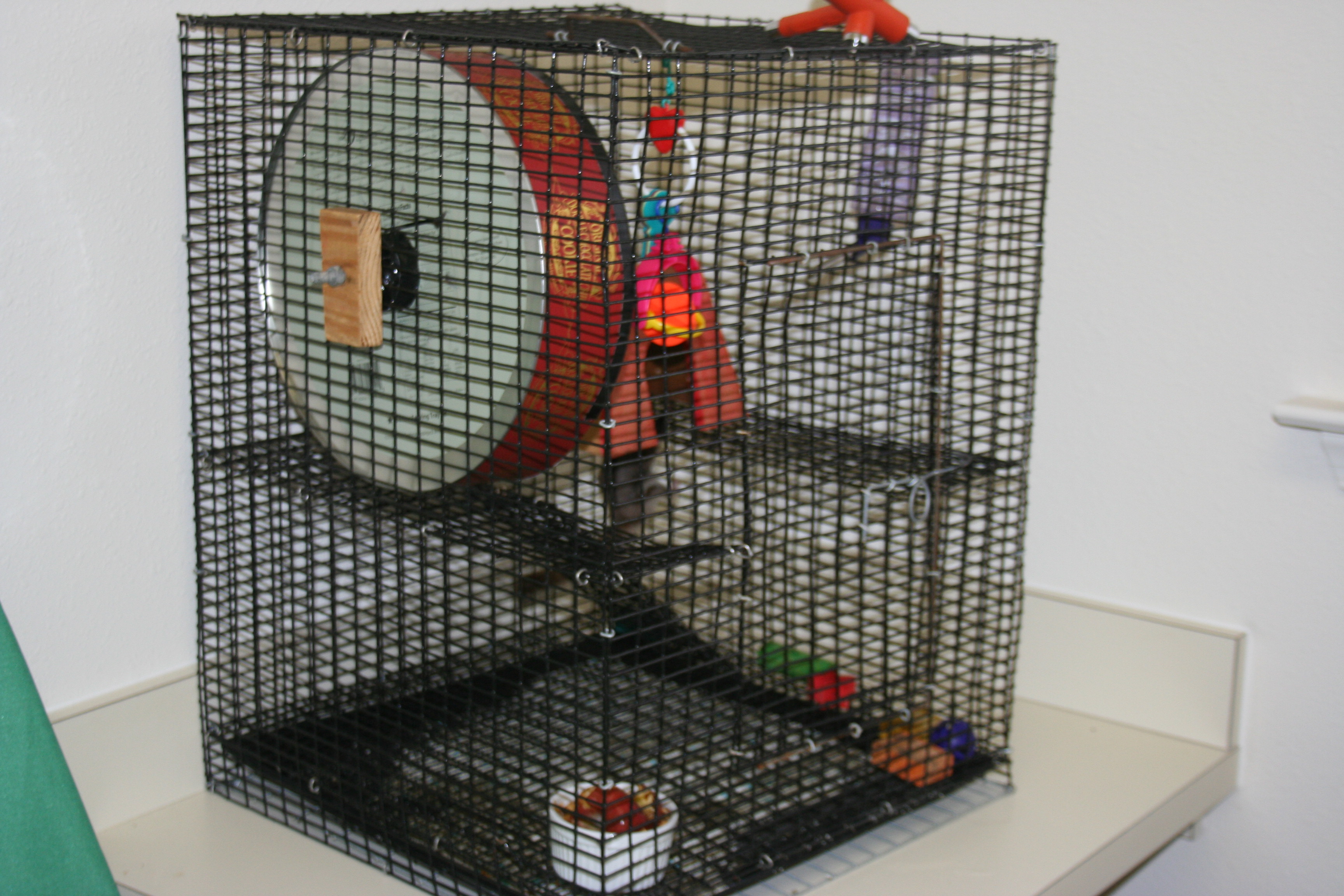 How to Make a Pet Exercise Wheel 5 Steps (with Pictures) Instructables