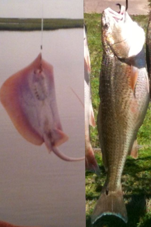 How to Tie a Clinch Knot