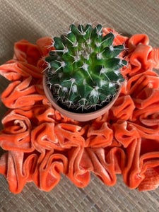 Smocking Orange Doily