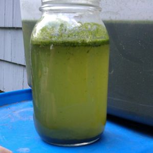 Make Some Oil (I Think)