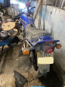 Cleaning and Surveying