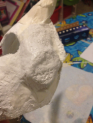 Step Five: Plaster Over the Cheeks and Horns