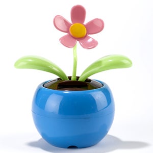 Montando Los Parpados Y La Hojas