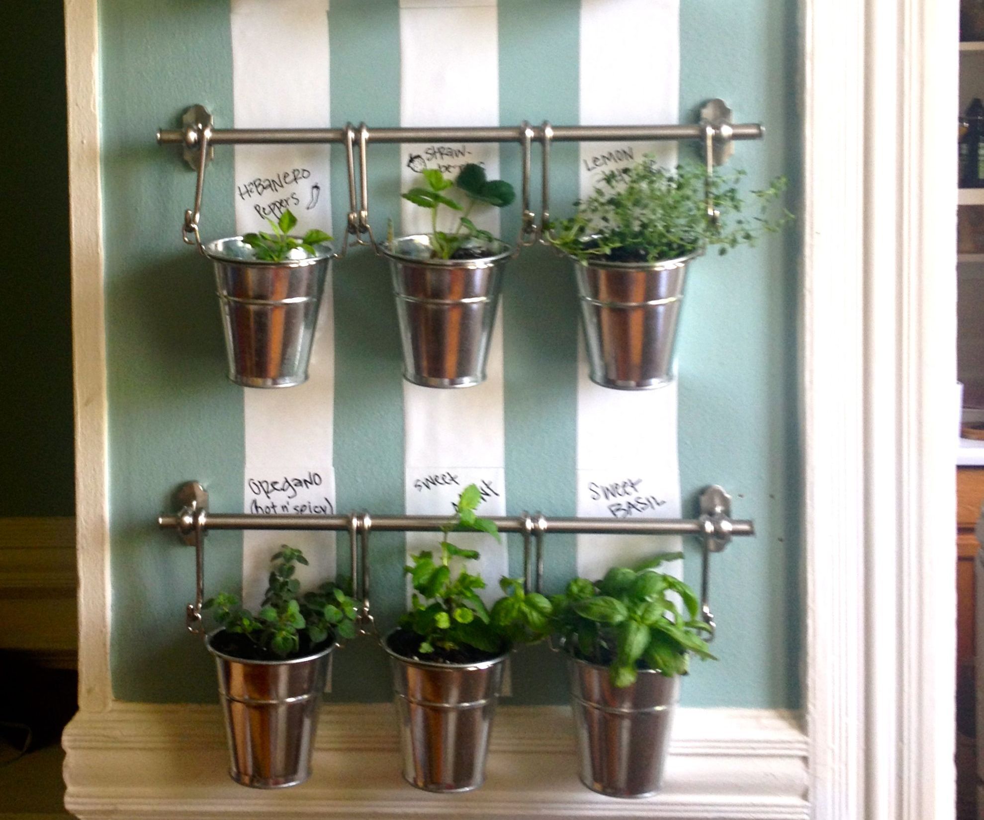 Hanging Indoor Herb Garden