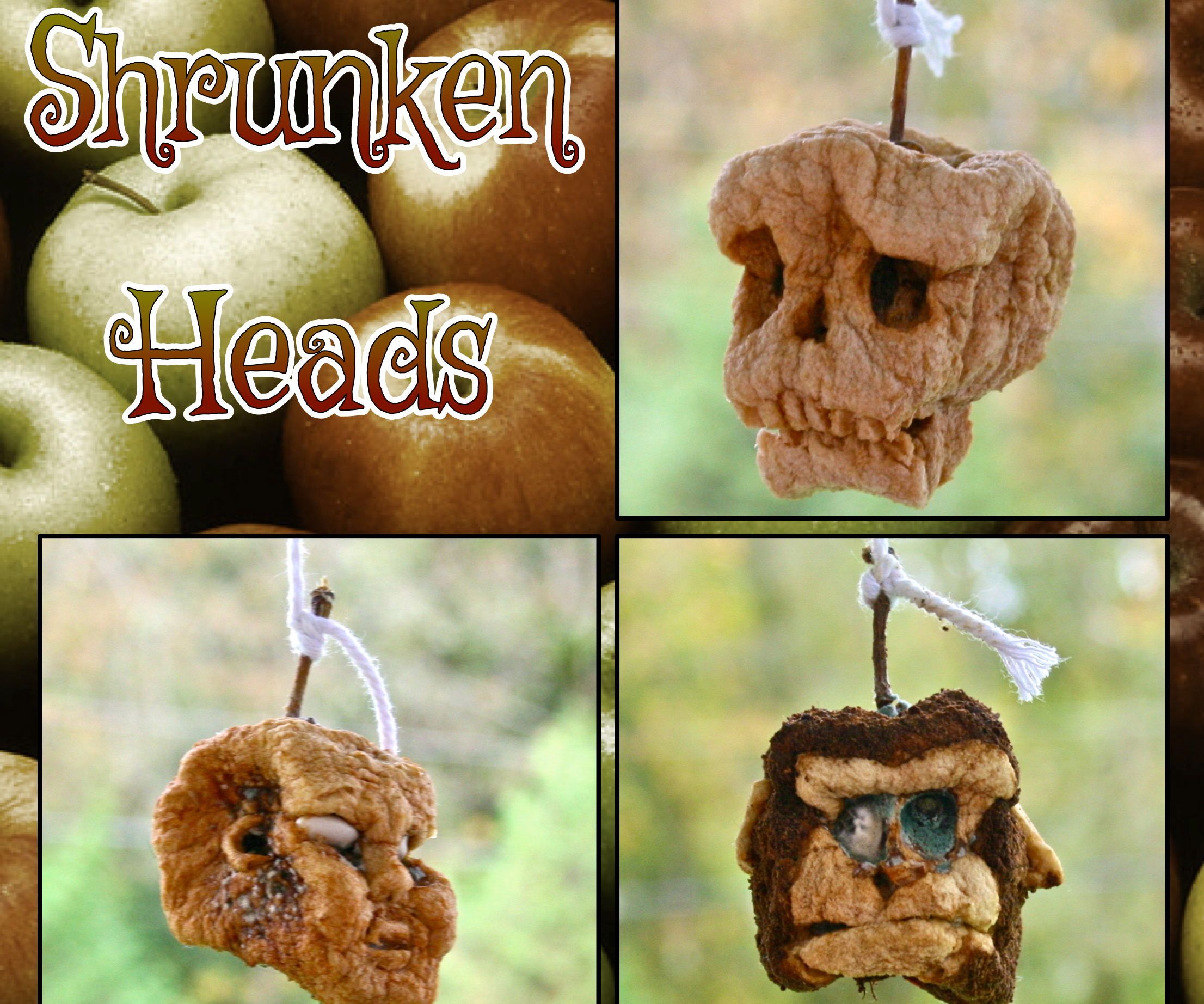 Shrunken Apple Heads