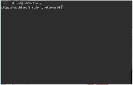 Executing Your Program