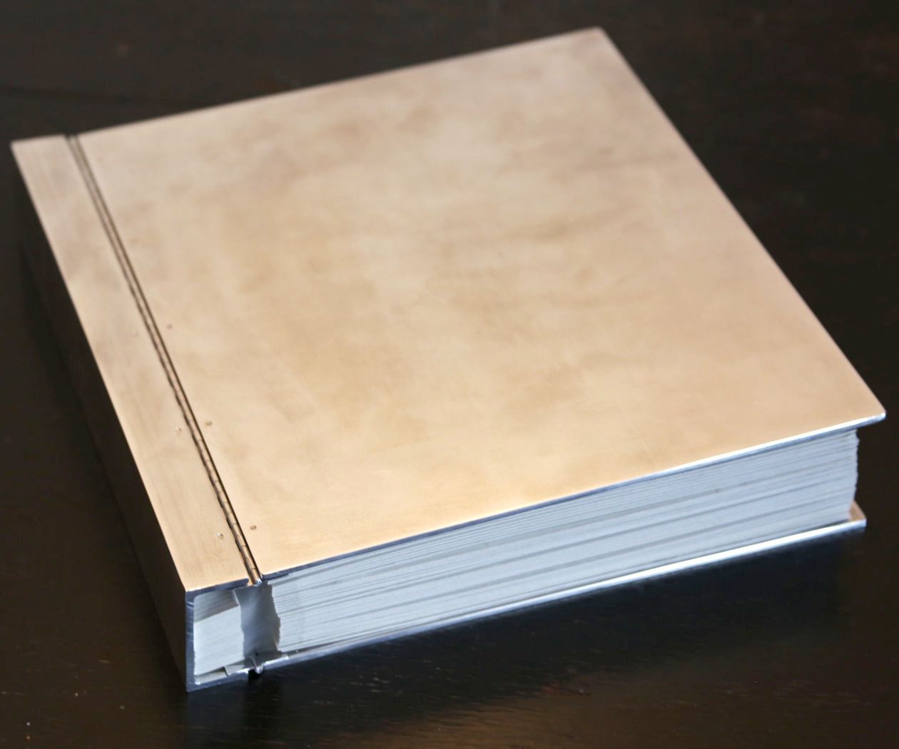 Indestructible Photo Album