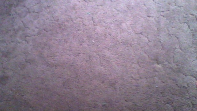 How to Clean Your Room