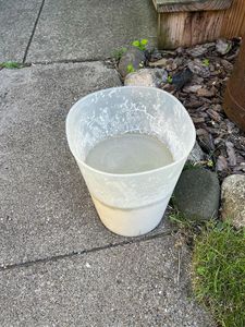 Prepare & Pouring the Cement
