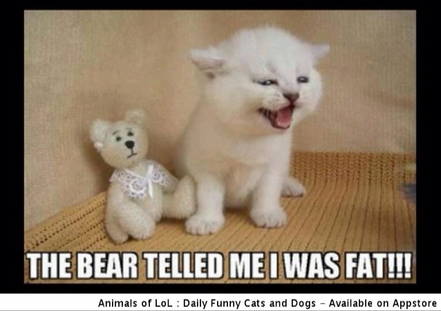 ChocolateAndCherryRed