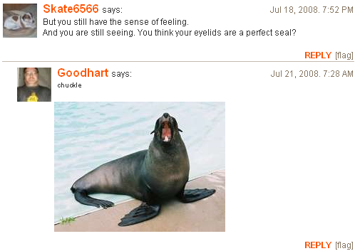 Comments From Inside.