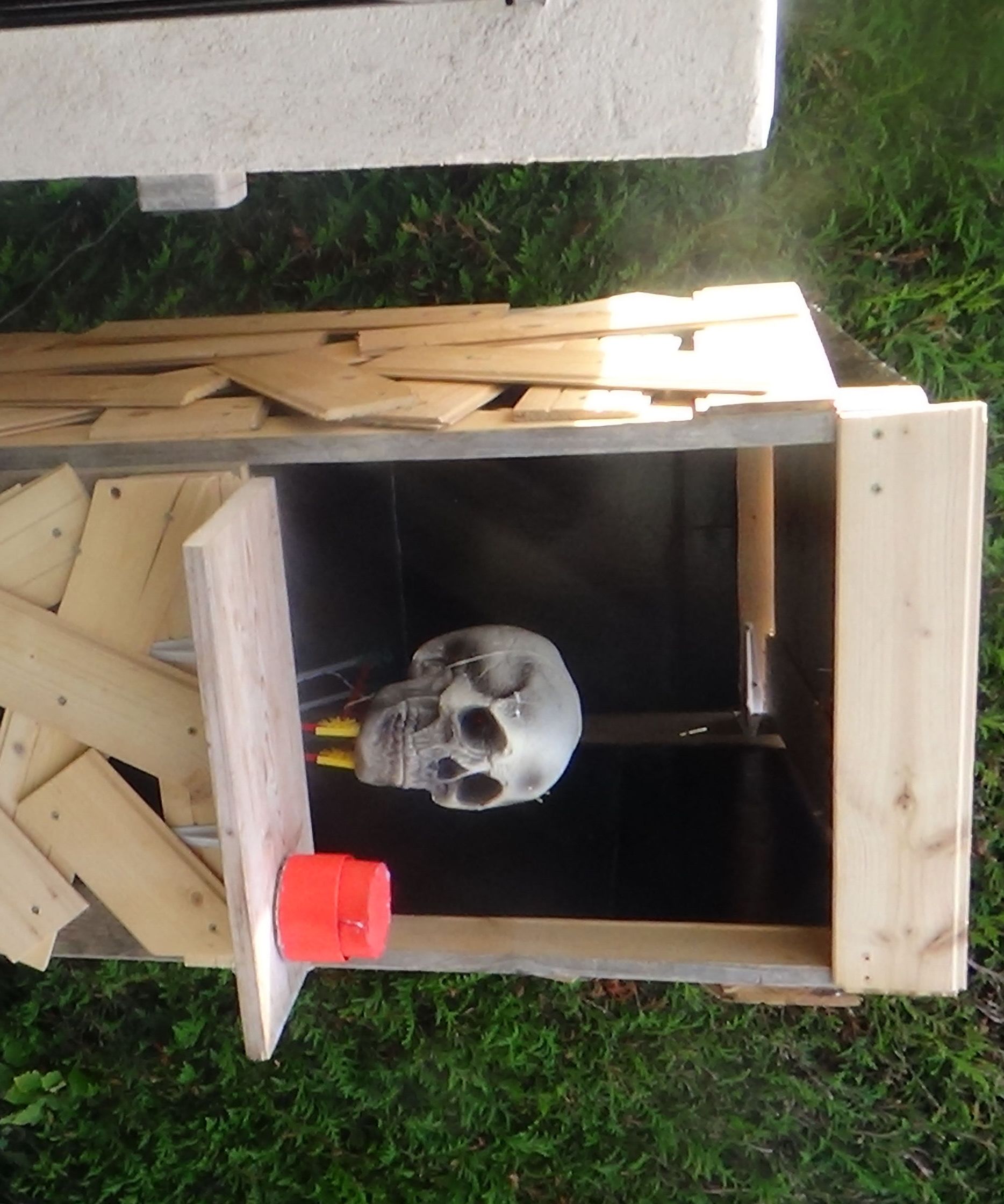 Halloween Cool Auto Entrance Gate