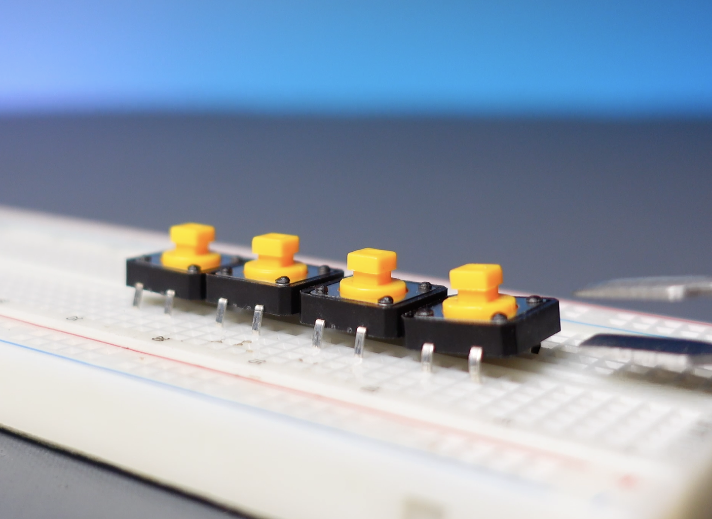 Build a Circuit on the Breadboard