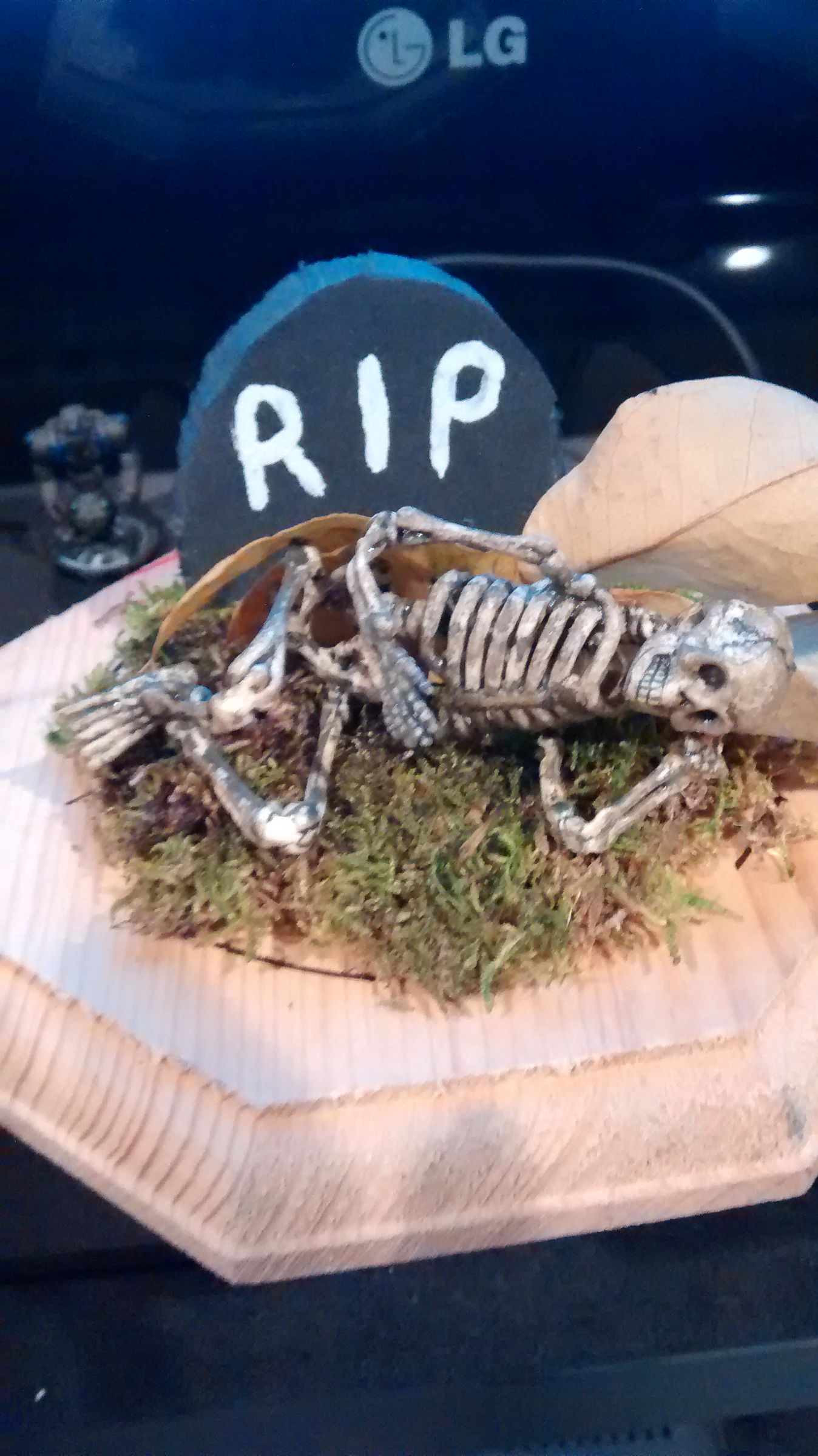 Dead Fairies