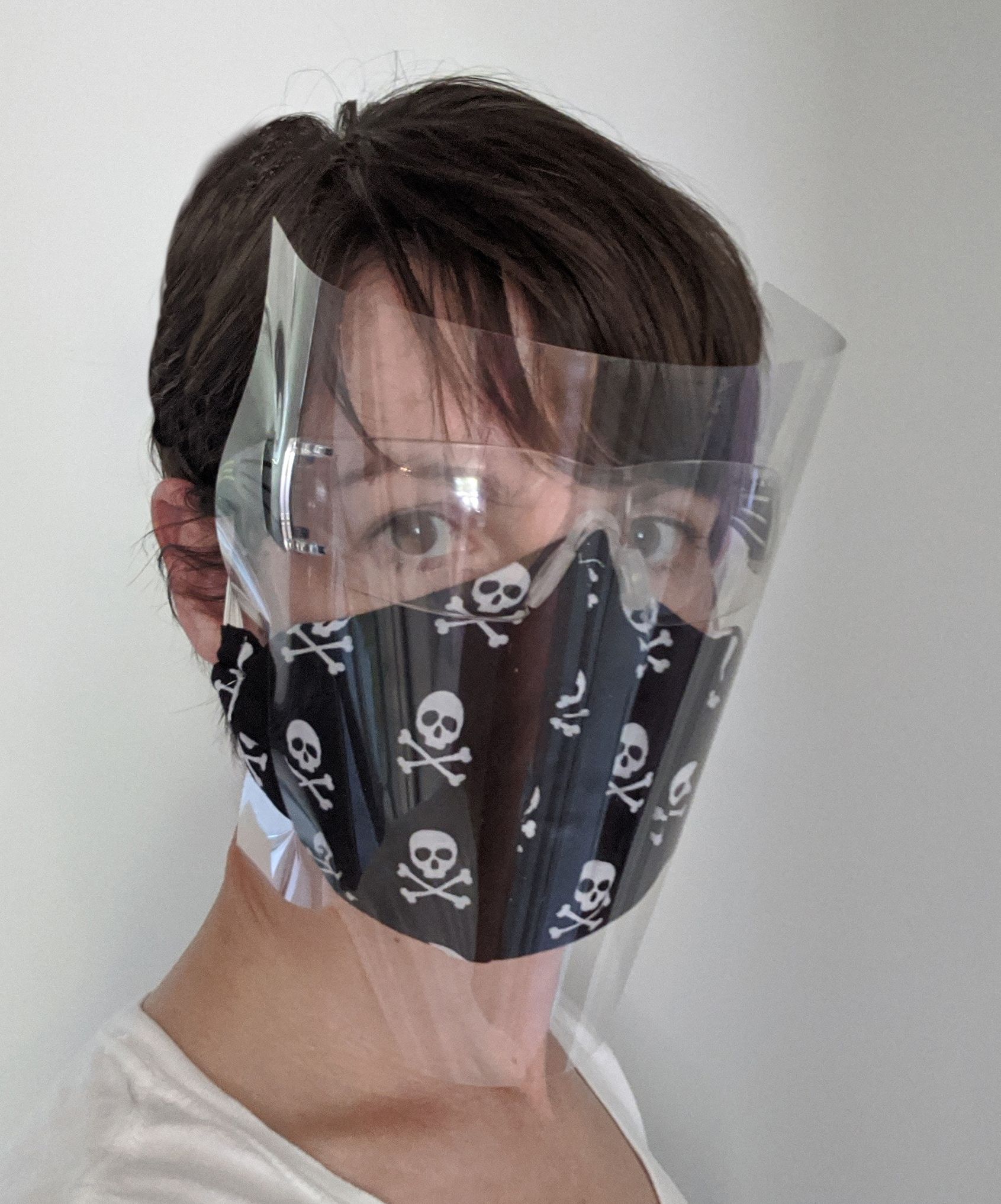 The Sheild Mask