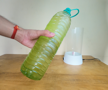 The Algae : Scenedesmus