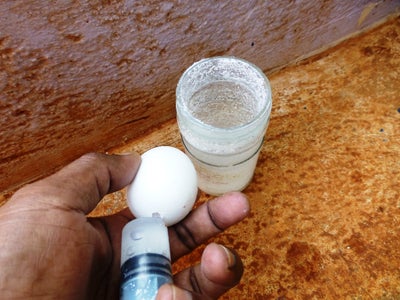 Wash and Clean the Egg Shells
