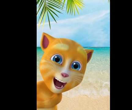 CATS FOR WHATSAPP GROUP