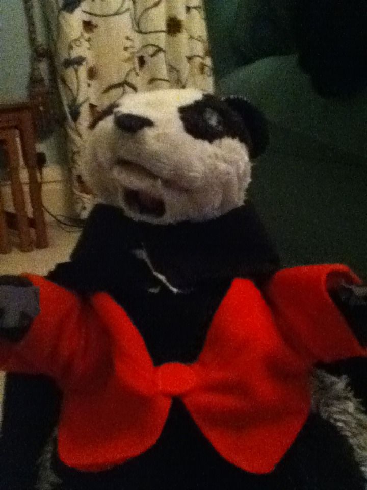 Vampire Costume for a Cuddely Toy