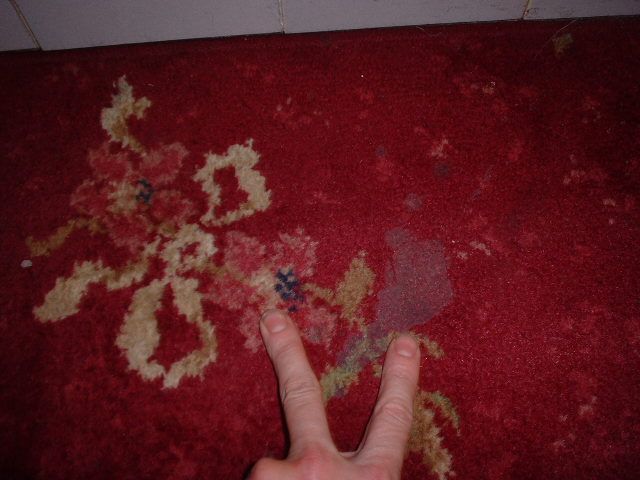 How to Remove Wax From an Axminster Rug