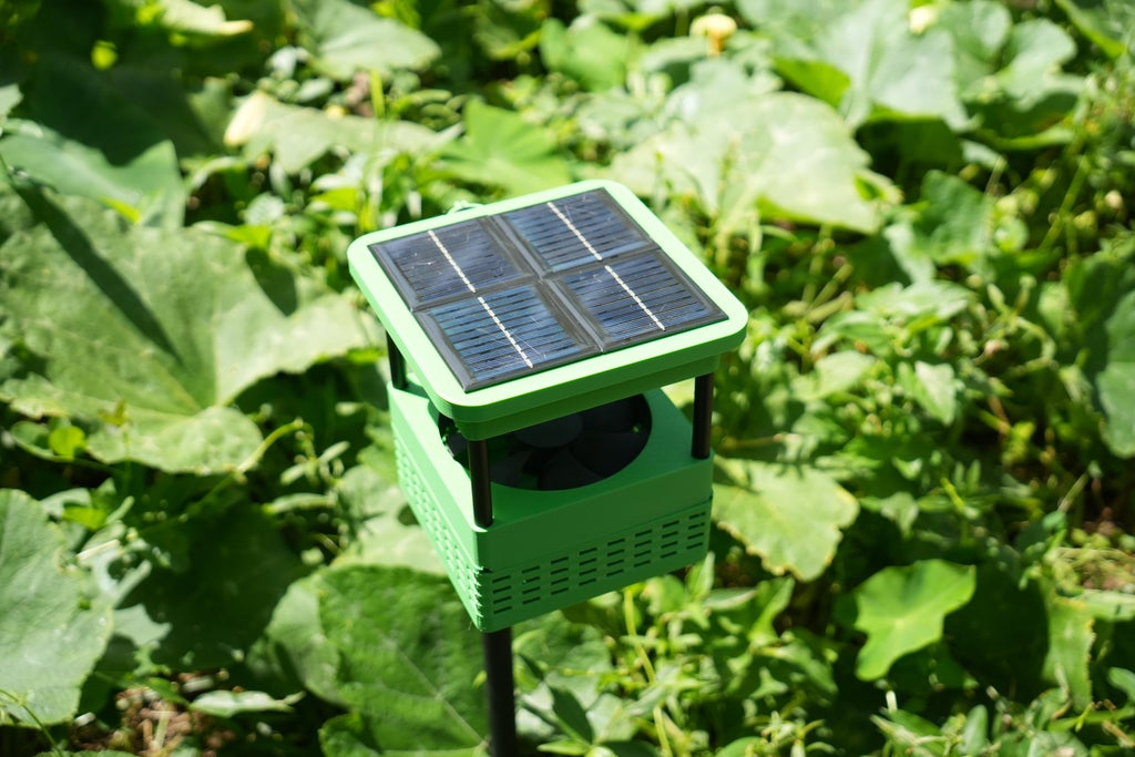 Operation and Teasing