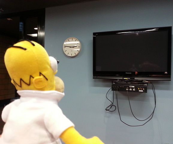 Smart Homer Web-enabled TV Remote