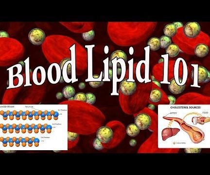 Blood Lipids: Cholesterol and Triglycerides 