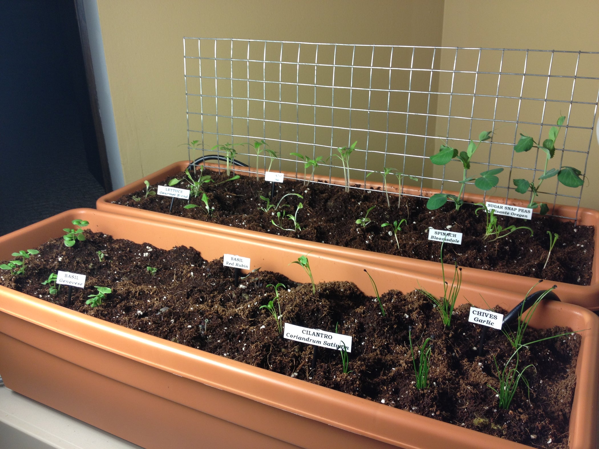 Self Watering Window Boxes 8 Steps (with Pictures) Instructables