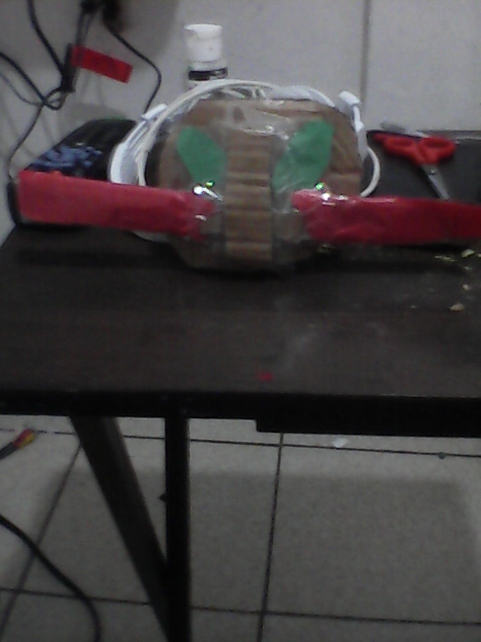 DIY Cardboard Amazons Driver