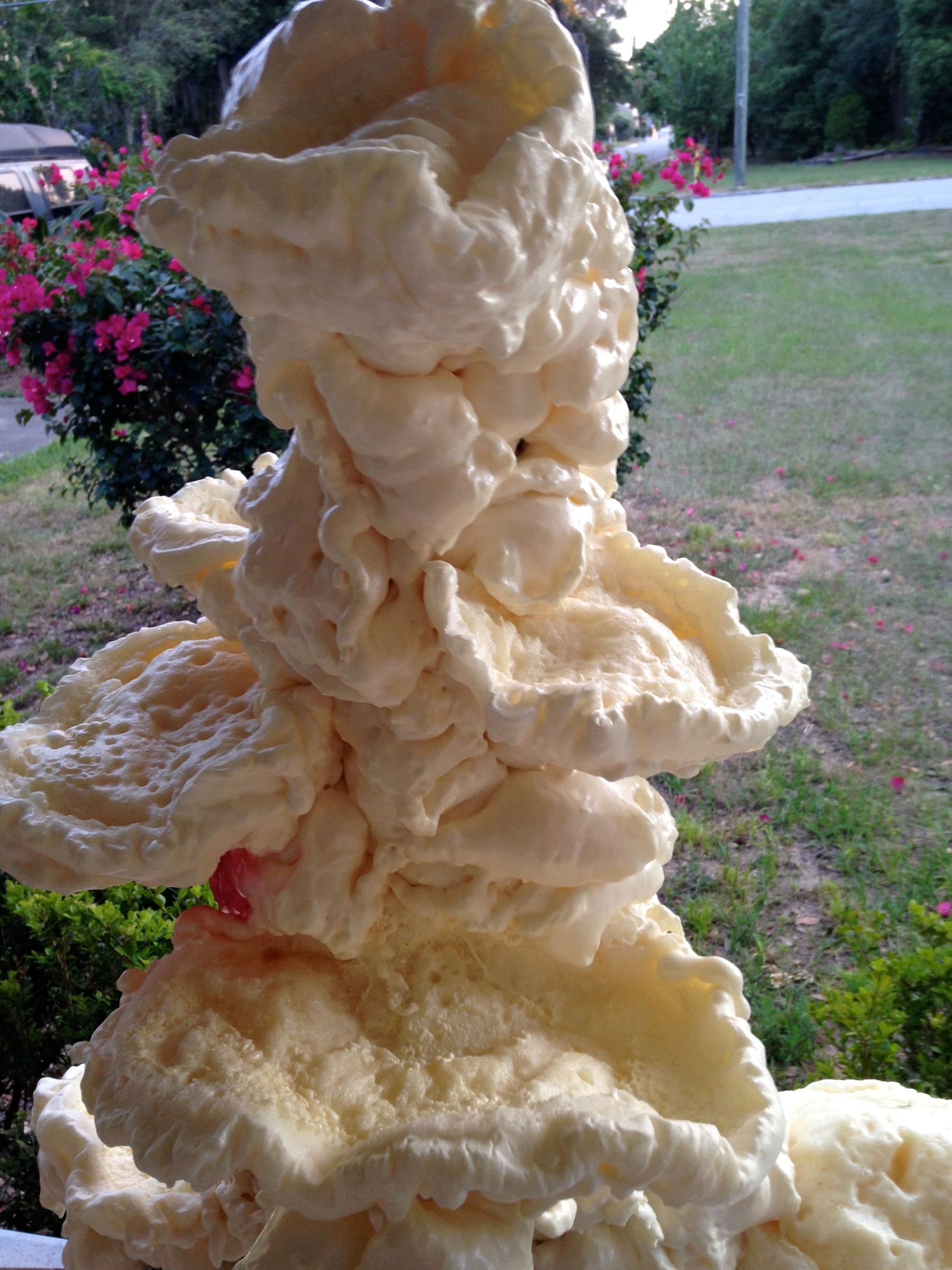 Spray Foam Coral 4 Steps (with Pictures) Instructables