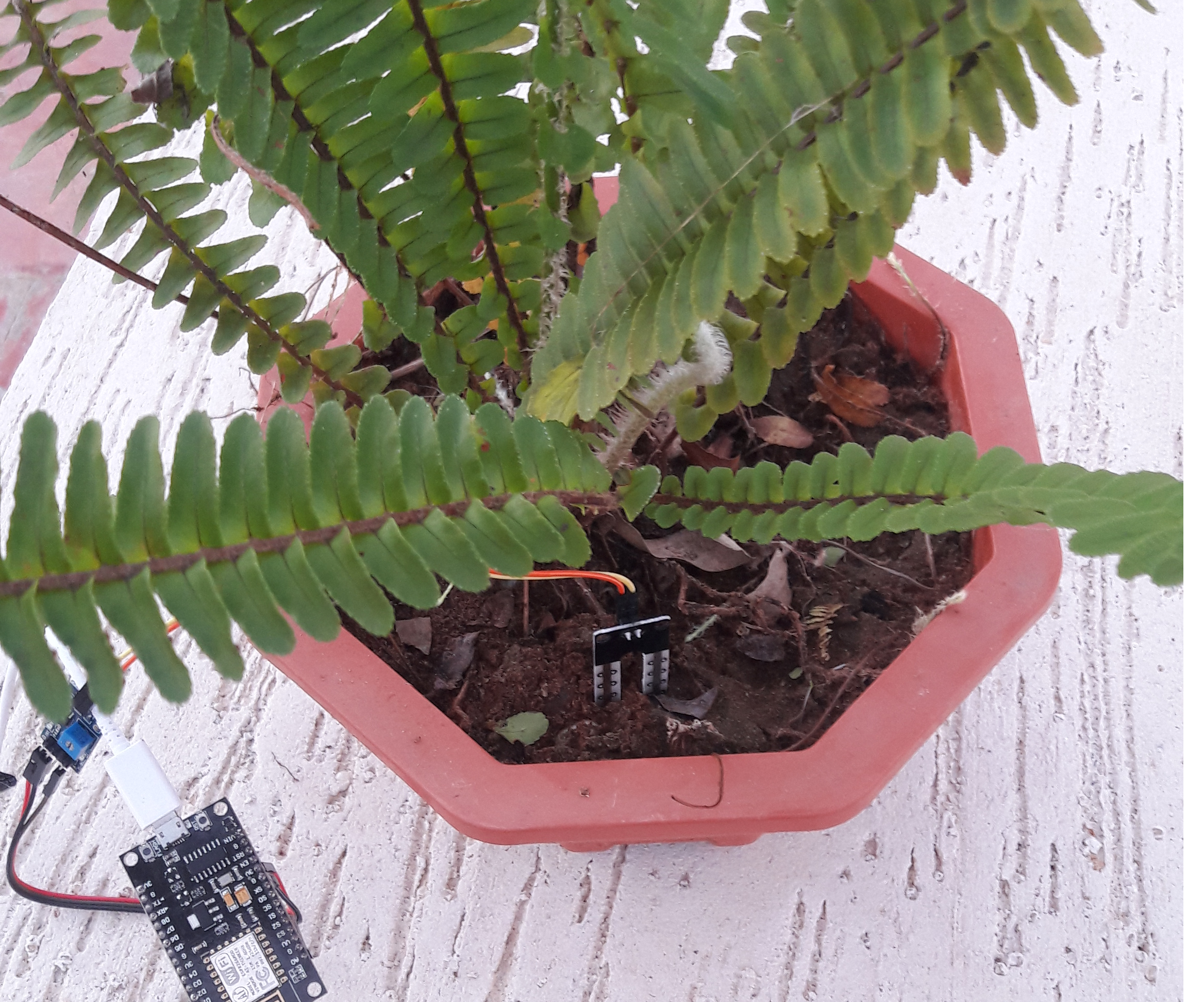 Plant Monitoring and Alerts With ESP8266 and AskSensors IoT Cloud