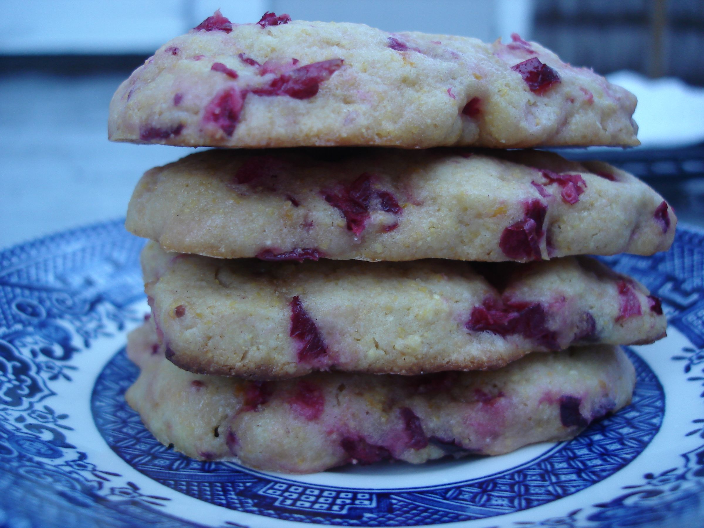 Cranberry Icebox Cookies