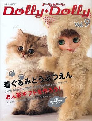 Ponchos For Chickens