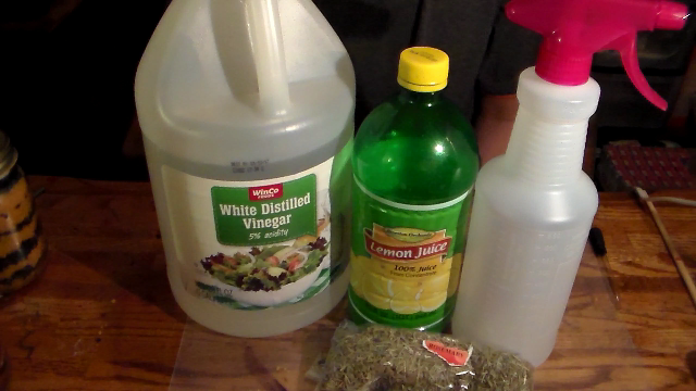 Lemon juice top cat repellent