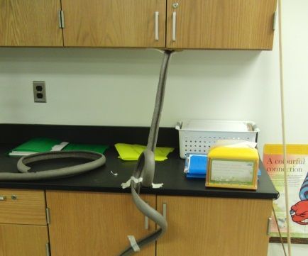 Work, Power, and the Conservation of Energy Through Roller Coasters