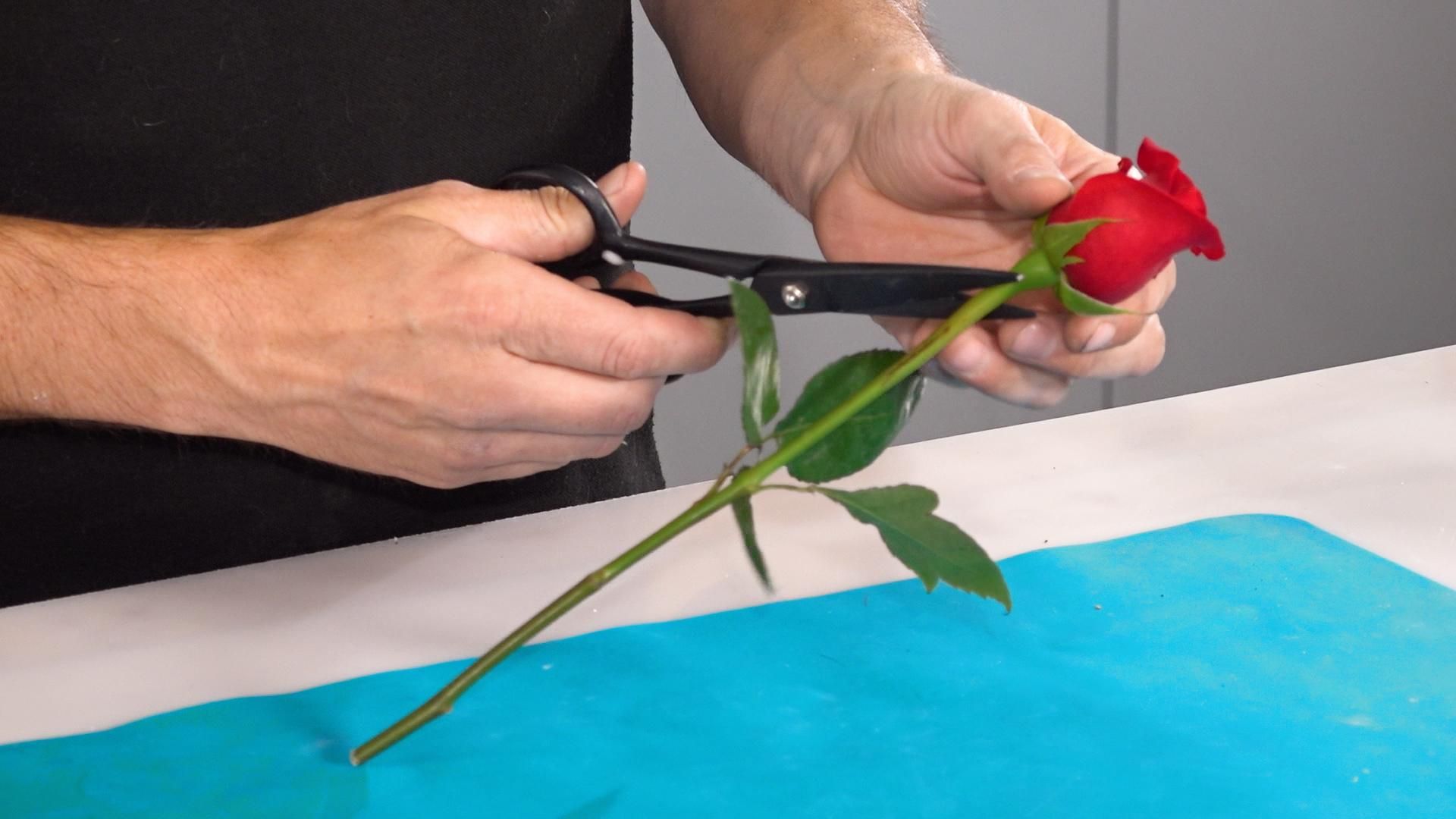 How to Cast Flowers in Epoxy Resin DIY Resin Rose Paperweight! 8
