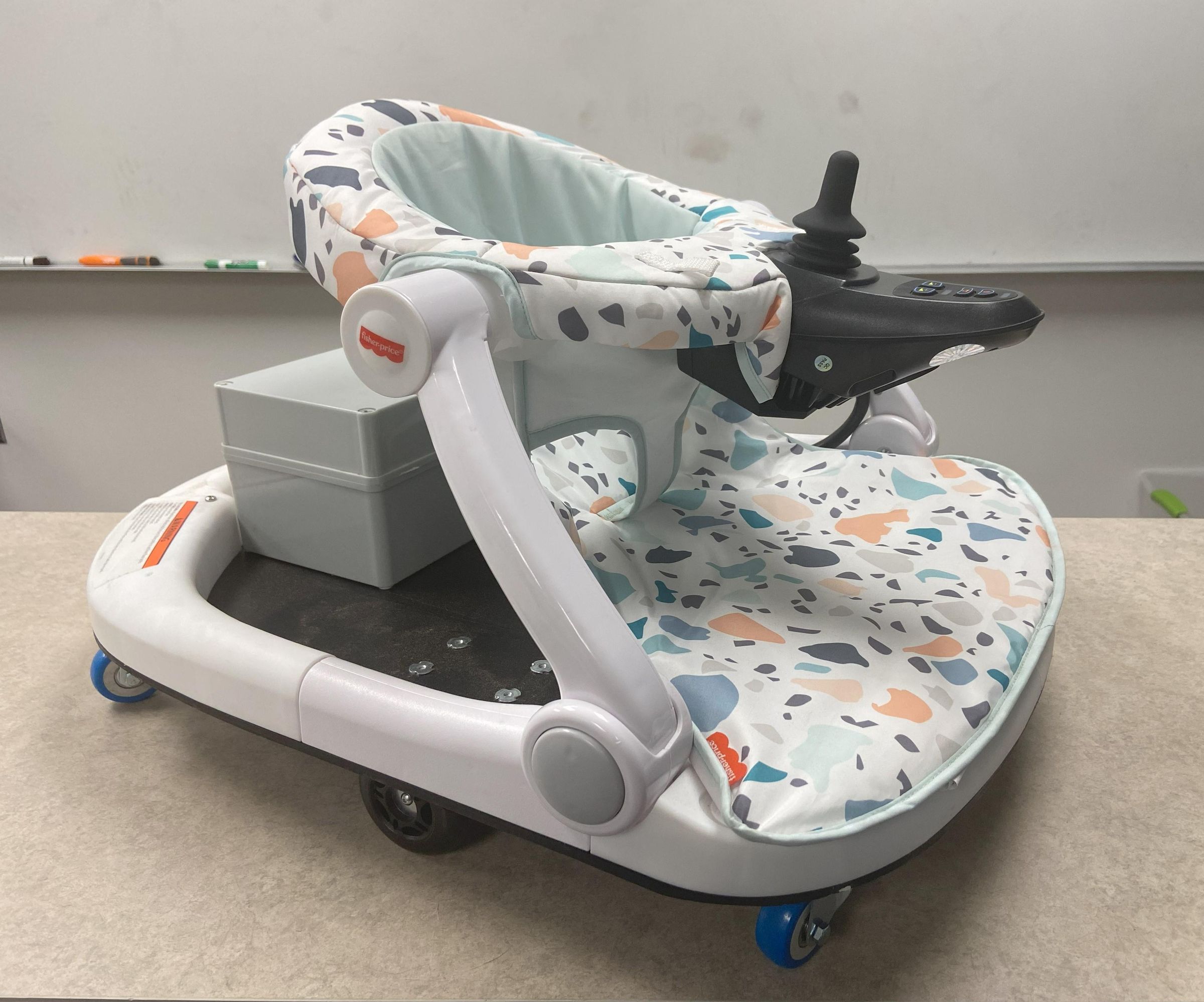 Baby Bug Learning Toy