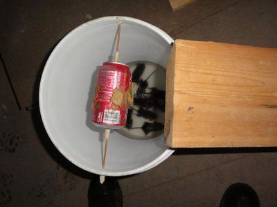 Deadly Bucket