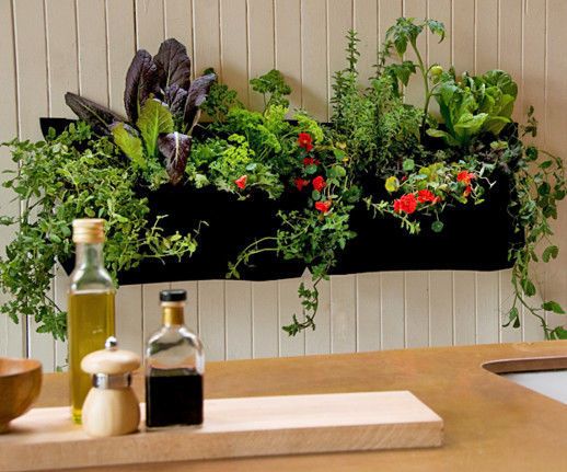 10 Tips for Planning Your Indoor Garden