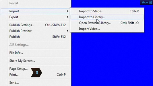 make presentation with flash Import Pictures