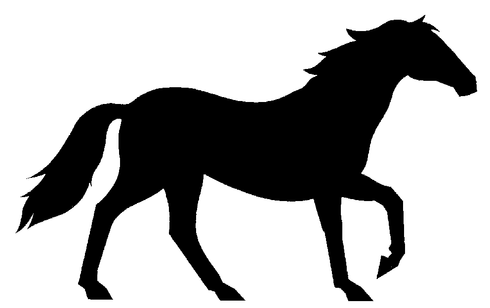 A Home for Every Horse by Buddy & Robin Hovermale