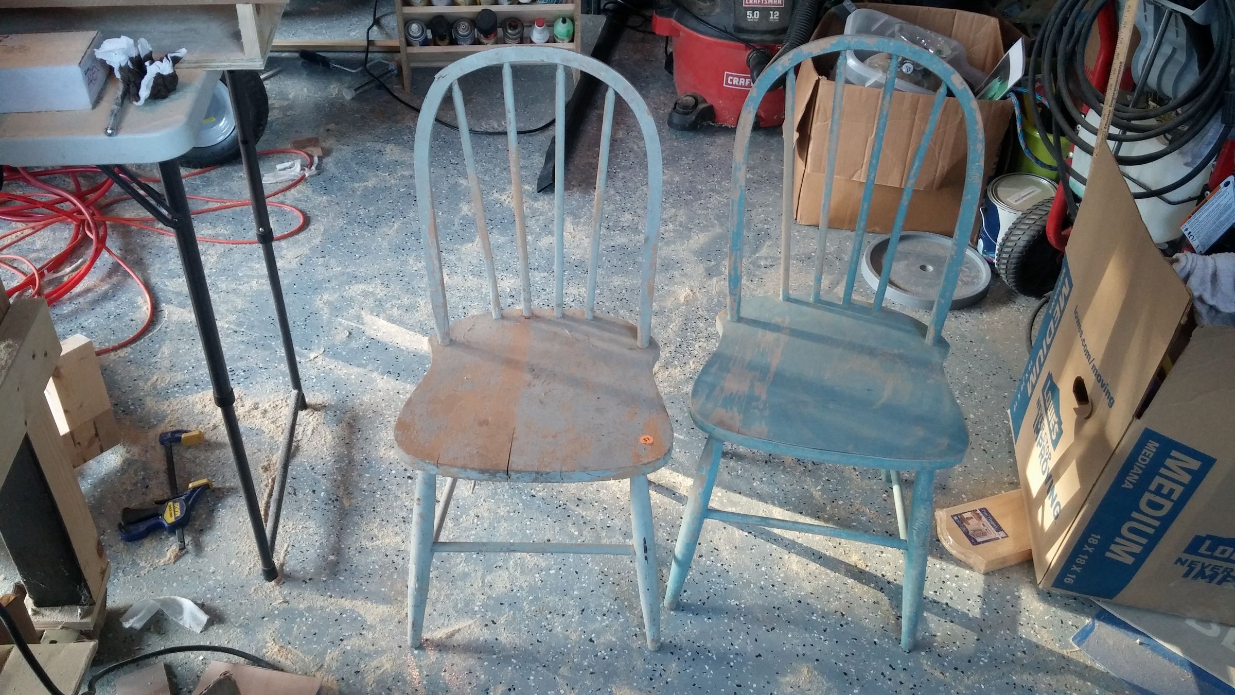 Dog Bowl Chair